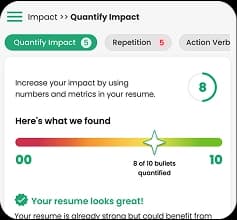 Receiving detailed ATS analysis report